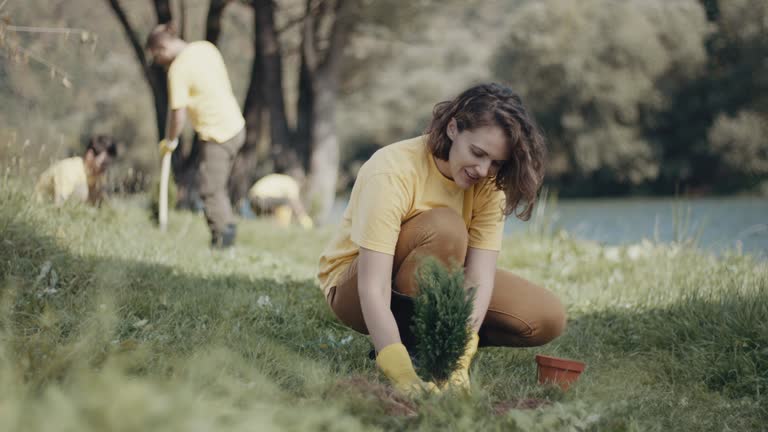 Best Lawn Disease Treatment  in Placitas, NM